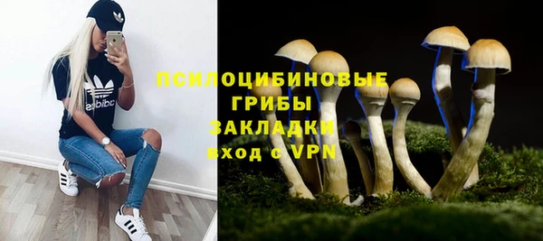 стаф Верхний Тагил