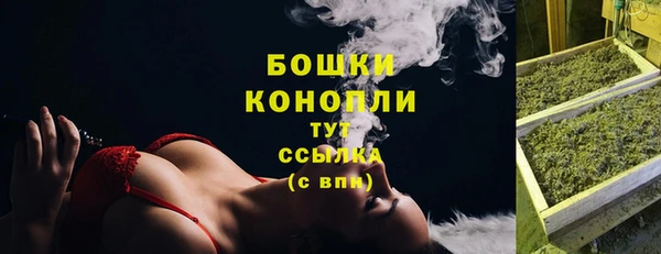 стаф Верхний Тагил