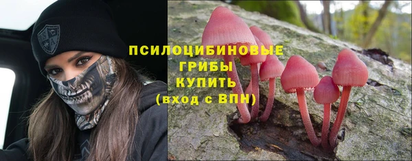 сатива Верхнеуральск