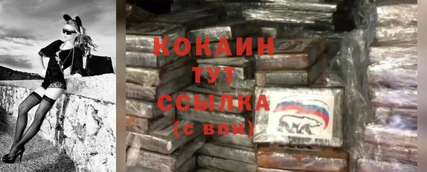 стаф Верхний Тагил