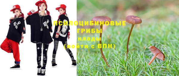 сатива Верхнеуральск