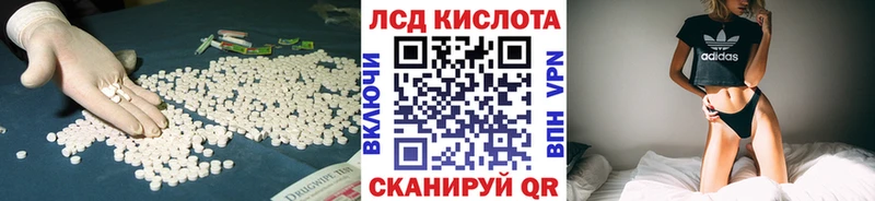 наркошоп  Волосово  omg маркетплейс  Лсд 25 экстази ecstasy 