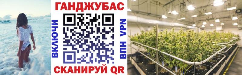 где можно купить   Волосово  площадка формула  Каннабис White Widow 